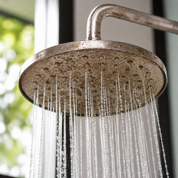 Shower Head
